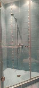 金沙Europroperties Zlatna Kotva Apartments的浴室里设有玻璃门淋浴