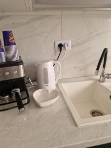 瓦斯卢伊Private house的厨房柜台配有水槽和咖啡壶