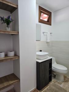 菲兰迪亚Apartamento en Filandia的一间带卫生间和水槽的浴室
