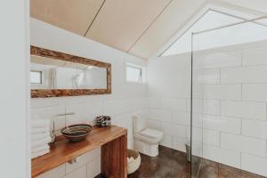 玛普瓦阿普尔比兔岛旅馆的一间带卫生间、水槽和镜子的浴室