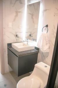 新洛哈Hotel Amazonas Suite , habitación sencilla的一间带水槽、卫生间和镜子的浴室