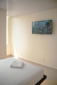 新洛哈Hotel Amazonas Suite , habitación sencilla的卧室配有一张床铺,墙上配有电视