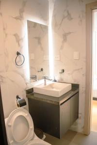 新洛哈Hotel Amazonas Suite , habitación sencilla的一间带水槽、卫生间和镜子的浴室