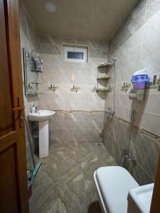 伊斯梅尔雷AkbA-Frame1的一间带水槽和卫生间的浴室