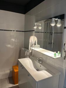 沙罗勒Le Téméraire Hôtel的白色的浴室设有水槽和镜子