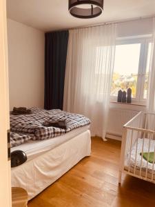 施马伦贝格Ferienwohnung Gierse的一间卧室设有一张床和一个窗口