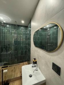 圣路易Bali suites - Basel / Dreilander的一间带水槽和镜子的浴室