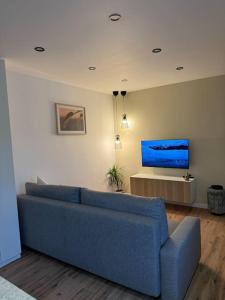 圣路易Bali suites - Basel / Dreilander的客厅配有蓝色的沙发和电视