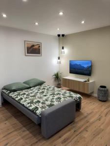 圣路易Bali suites - Basel / Dreilander的一间卧室配有一张床和一台平面电视