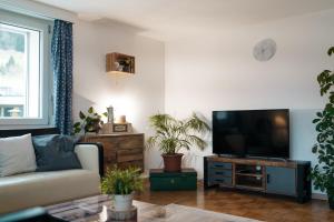 艾姆敦Large Apartment 8beds great for family and friends, Mountain View的带沙发和平面电视的客厅