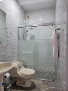 努尔德aruba Villas的带淋浴、卫生间和盥洗盆的浴室