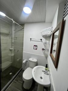 马尼萨莱斯Amarena Hotel Boutique的浴室配有卫生间、盥洗盆和淋浴。