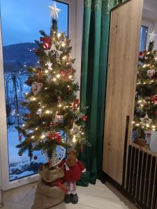 什切尔克Domki w górach pod Szczyrkiem的隔壁有泰迪熊的圣诞树