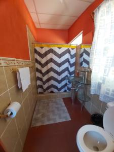 帕纳哈切尔Casa de Alondras的带淋浴和卫生间的浴室。