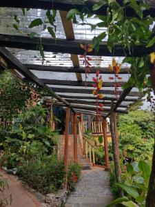 蒙泰韦尔德哥斯达黎加克拉罗卢纳酒店的花园,带红色花卉的木凉亭