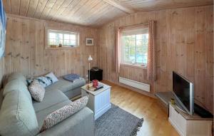 斯朱森Stunning Home In Sjusjen With Sauna的带沙发和电视的客厅