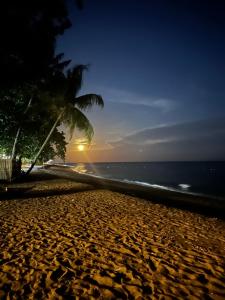 道因AivyMaes Divers Resort的棕榈树海滩和海洋之夜