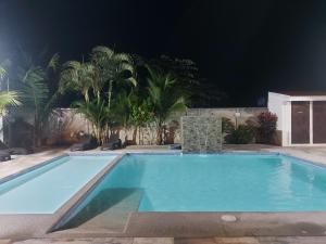 雅科Casa Dñ Ana的棕榈树的夜间游泳池