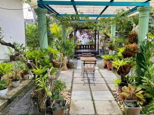 加央COZY GL Roomstay ARAU的温室里种有桌子和植物的庭院