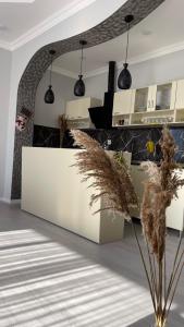 伊斯梅尔雷AkbA-Frame3的厨房配有白色的柜台和一些植物