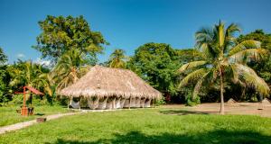 埃尔扎伊诺Camping Tequendama Playa Arrecifes Parque Tayrona的草屋顶和棕榈树小屋