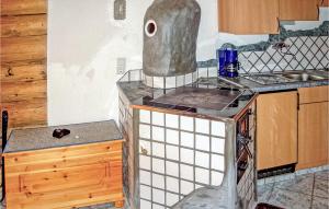BodenStunning Home In Boden With Kitchen的一间带炉灶的厨房 水槽旁的顶部烤箱