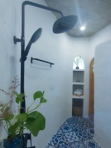 Phú Hạnh (5)Santa Fe House - Gành Đá Đĩa的一间位于客房内的带风扇和植物的浴室