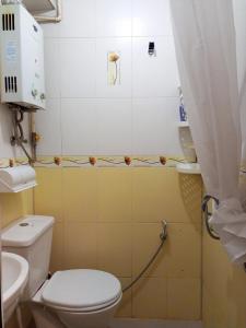 巴库NIZAMI Street flat的一间带卫生间和水槽的浴室