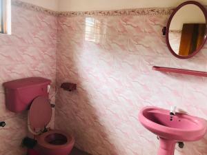 拜蒂克洛BATTI REST的粉红色的浴室设有粉红色的卫生间和水槽