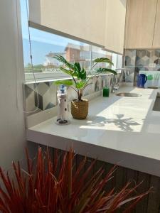 Casa BlancaHermosa casa con vista al mar的一个带水槽和台面植物的浴室