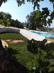 阿尔贝罗贝洛迪莫拉玛塔乐思特鲁利住宿加早餐酒店的享有带2把草坪椅的游泳池景致