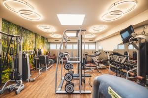 泰哈姆山麓弗拉德尼茨施蒂利亚大酒店的健身房设有有氧器材和跑步机