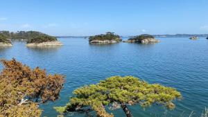 Takagiたび宿SeKKoku的水中的一个岛屿