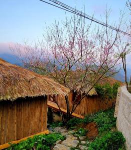 An PonMộc Châu Peachy Garden的一群小屋前面有棵树