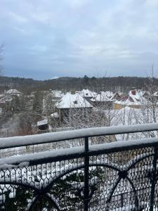 哥德堡Ewa & Maude Hotel Aston Villa的享有雪覆盖的村庄和房屋的景色