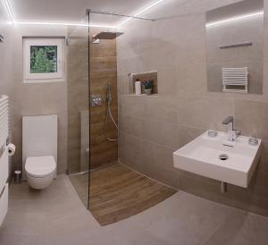 萨斯阿尔马格尔Appartement Flora的浴室配有卫生间、盥洗盆和淋浴。