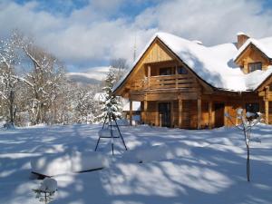 韦特利纳Biesówka的雪地小木屋,有雪覆盖的院子