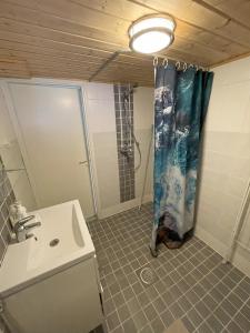 埃斯波Lake view apartment, Espoo的浴室配有淋浴帘和盥洗盆。
