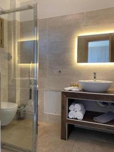 普雷韦扎Melydron Apartments的一间带水槽、卫生间和淋浴的浴室