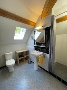 Saint-Pierre-dʼEntremontl'Ancienne Ecole du Villard的浴室配有卫生间、盥洗盆和淋浴。