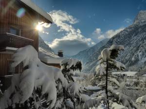 库马约尔阿索托丽亚酒店的山边的雪地房子