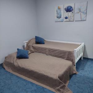 圣罗莎Departamento Falucho 1的一间卧室配有两张带蓝色枕头的床