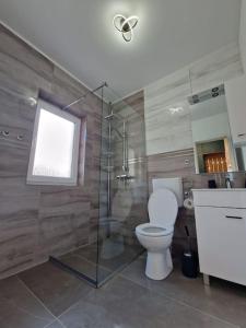 阿拉德Home in Residential Neighborhood的一间带卫生间和玻璃淋浴间的浴室