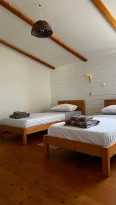 萨尔雷Kaia Beach House Boa Vista Front Sea View Apartments的客房设有两张床和天花板。