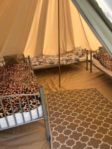 DołgieHelagust的一个带两张床的帐篷和一个地毯