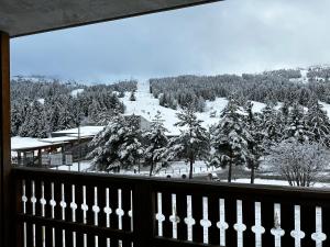 德沃吕伊Superdévoluy, appartement récent - en face et au pied des pistes的阳台享有雪覆盖的山脉美景。