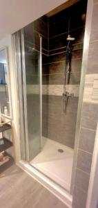 蓬塔穆松Casanna Triplex Cœur De Ville的浴室里设有玻璃门淋浴