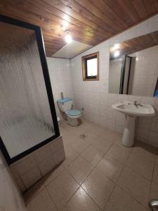 普孔Grandes cabañas的浴室配有卫生间、盥洗盆和淋浴。