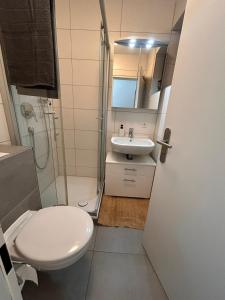 奥斯特菲尔登Wikinger Apartment Felicia的浴室配有卫生间、盥洗盆和淋浴。