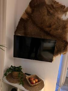 奥斯特菲尔登Wikinger Apartment Felicia的挂在墙上的电视,上面有种动物